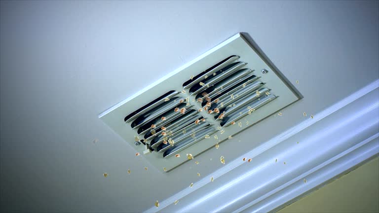 Best Air Duct Cleaning Company Near Me  in San Antonio, FL
