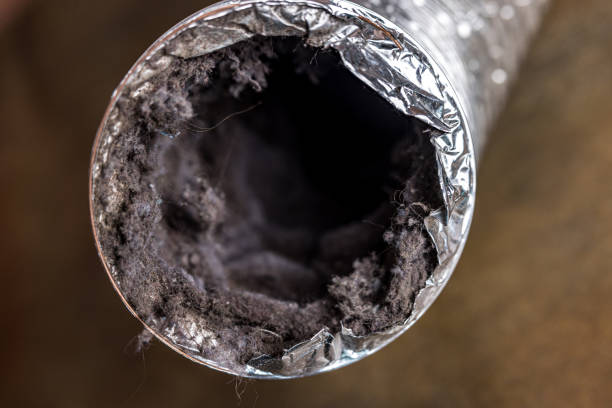 Best Commercial HVAC Duct Cleaning  in San Antonio, FL