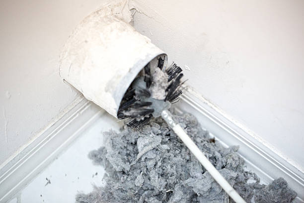 Best Dryer Vent Cleaning Services  in San Antonio, FL